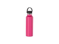 600ml/20oz Powder Coated Stainless Steel Bottle (Purple Red)